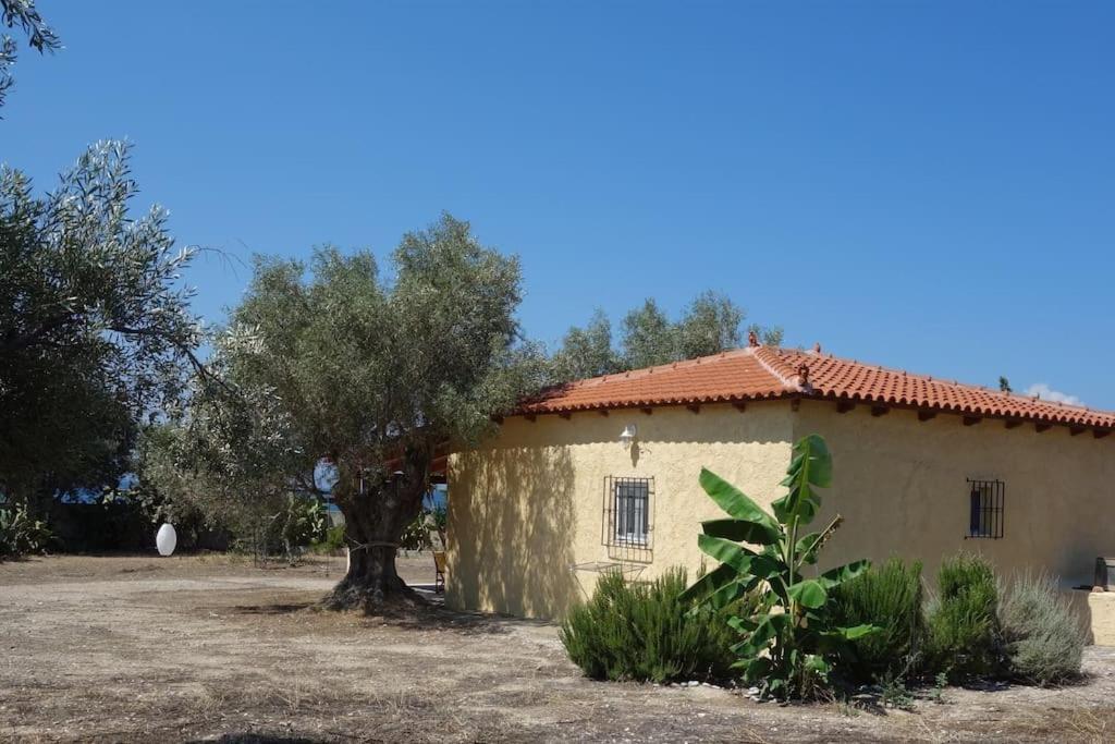 House By The Sea At Skaloma, Loutraki Villa Hồ Vouliagmeni Ngoại thất bức ảnh