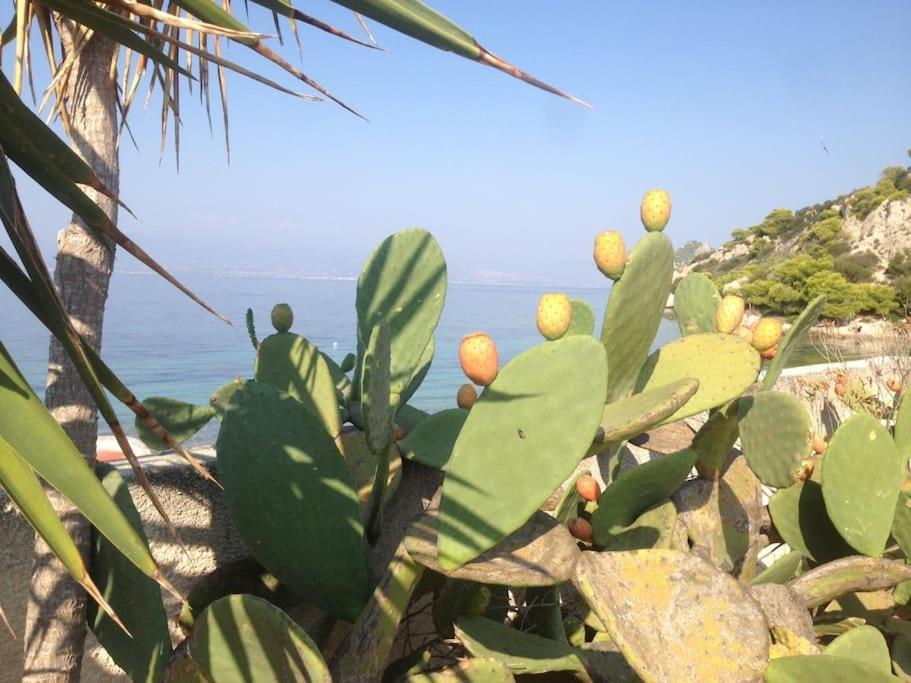 House By The Sea At Skaloma, Loutraki Villa Hồ Vouliagmeni Ngoại thất bức ảnh